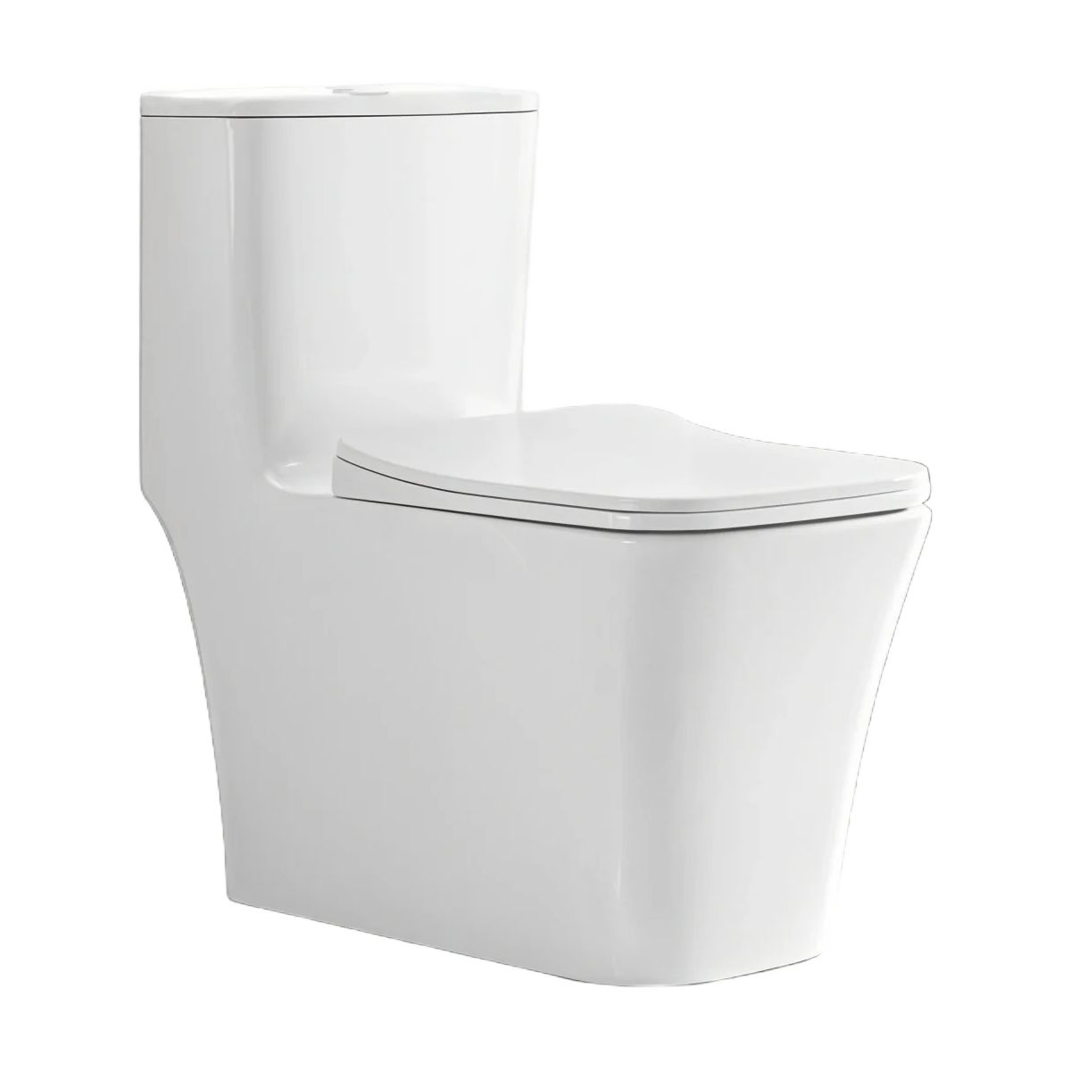 Rimless One Piece Floor Standing WC Toilet - Soft Close Seat Included